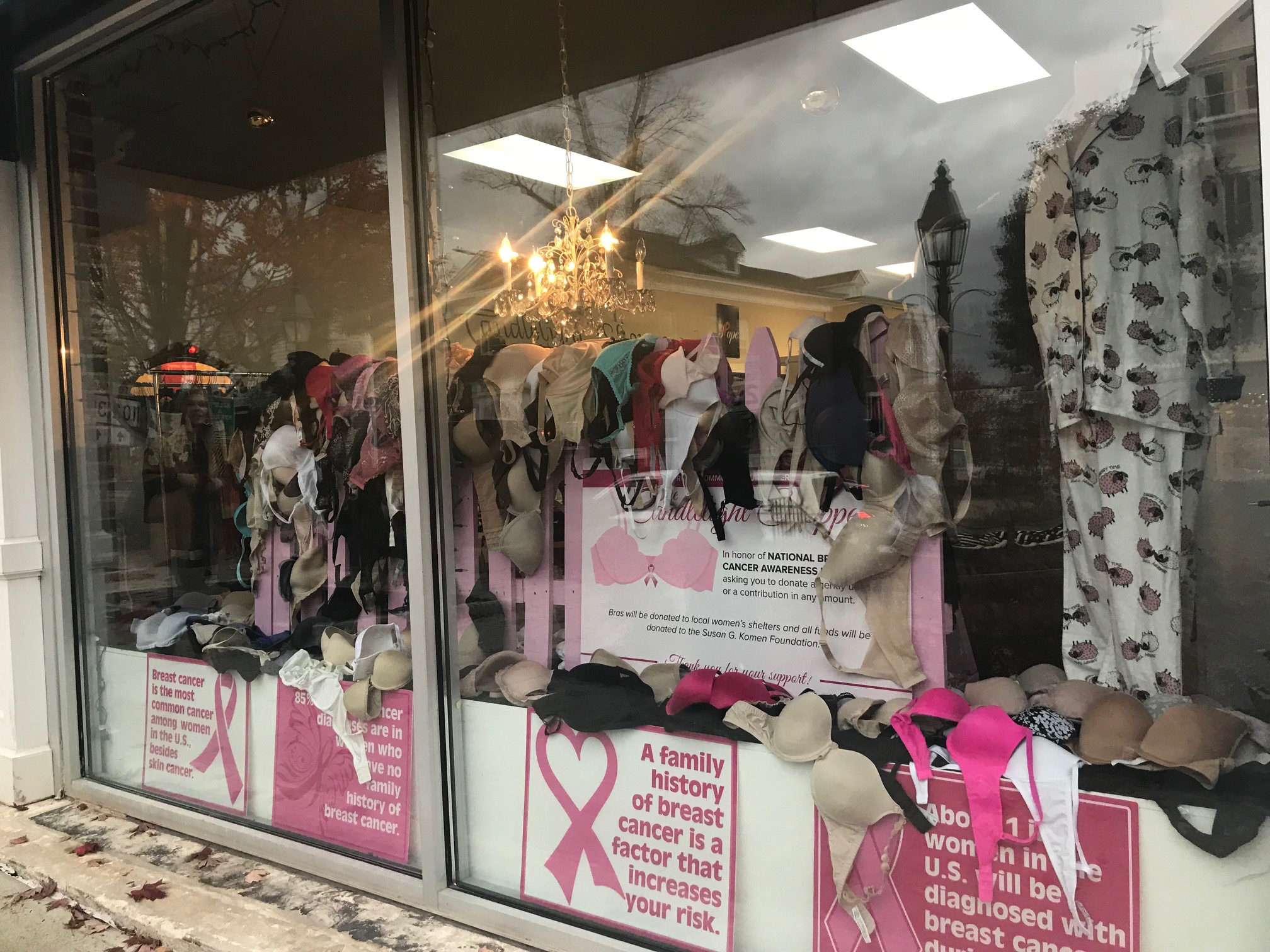 Charity Uplifts Women in Need by Collecting Gently Used Bras