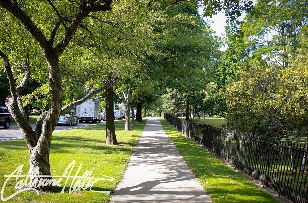 Meet The Merchants - Ridgefield Main Street