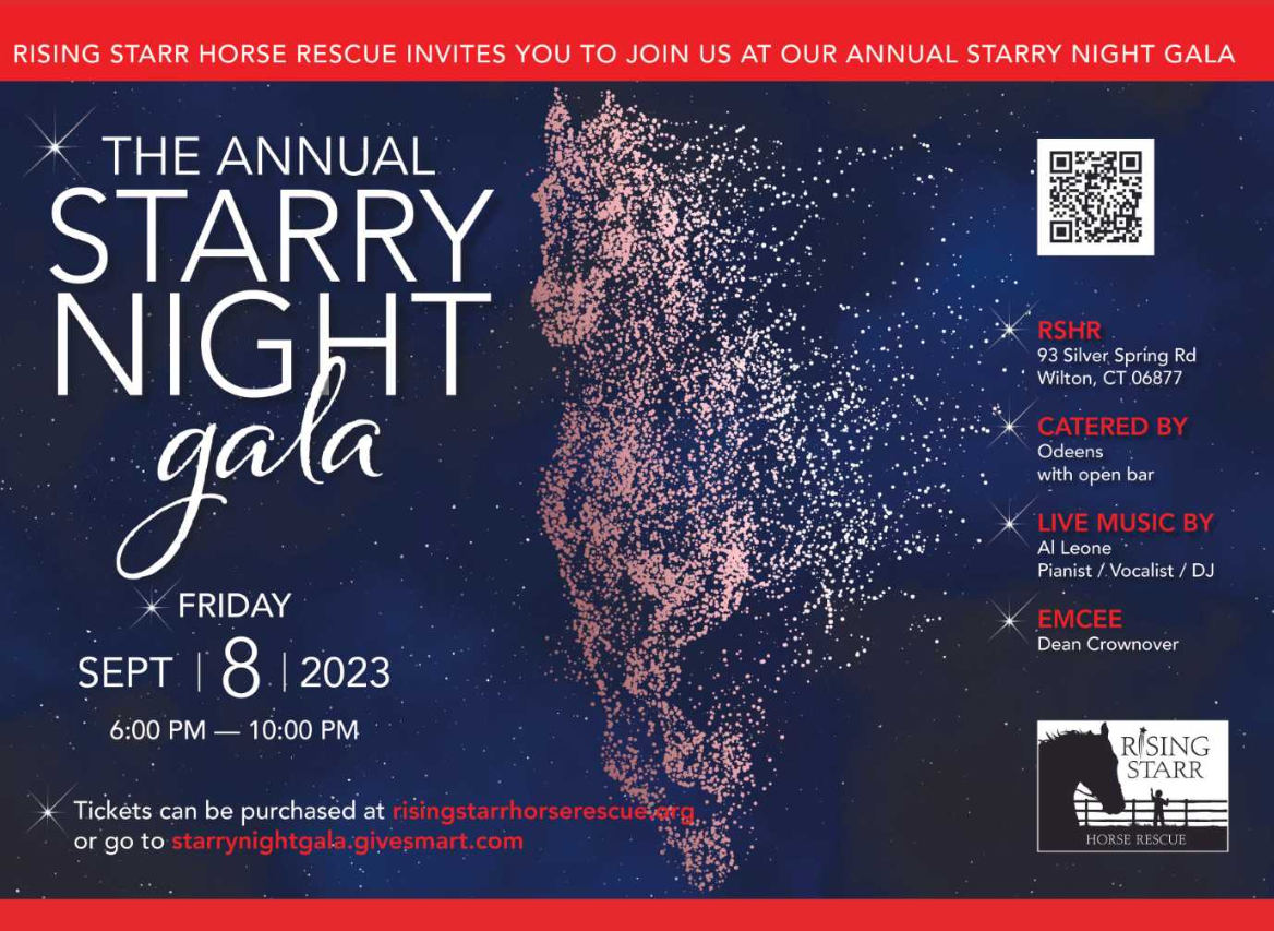 Starry Night Gala 2023